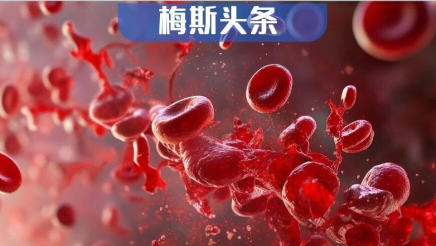 1月小米手机市场份额位居中国第二,澳门特马开码开奖结果历史记录查询,创造力策略实施推广_破例版V13.4